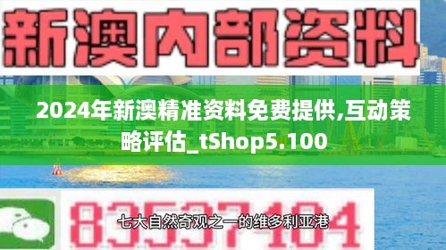 2024-2025新澳最精准免费资料,精选解释解析落实