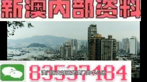 2024-2025新澳精准资料免费提供网站,精选资料解析大全