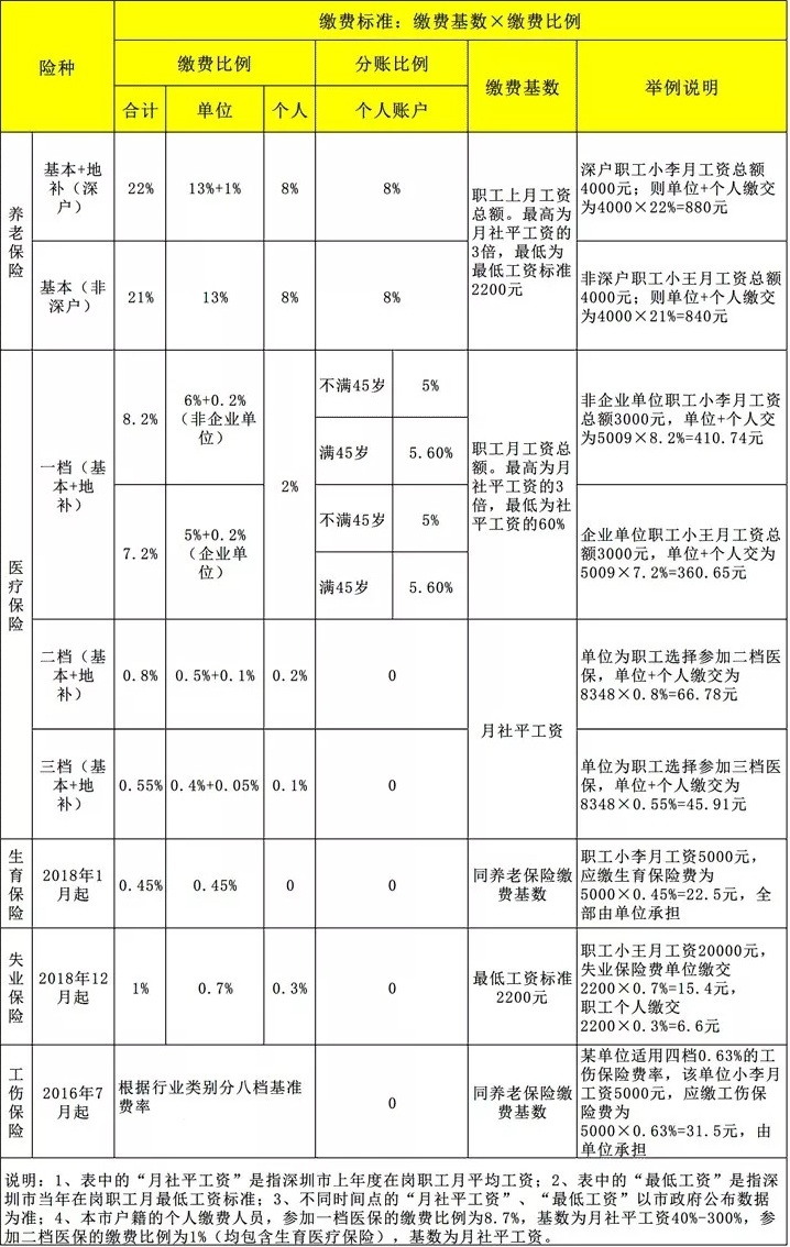 最新社保个人缴纳比例，理解与应对