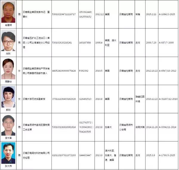 中国红通名单最新动态分析