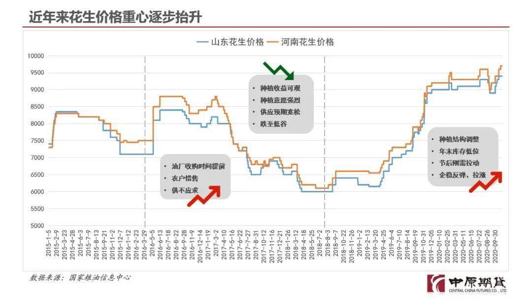 正阳花生市场行情分析