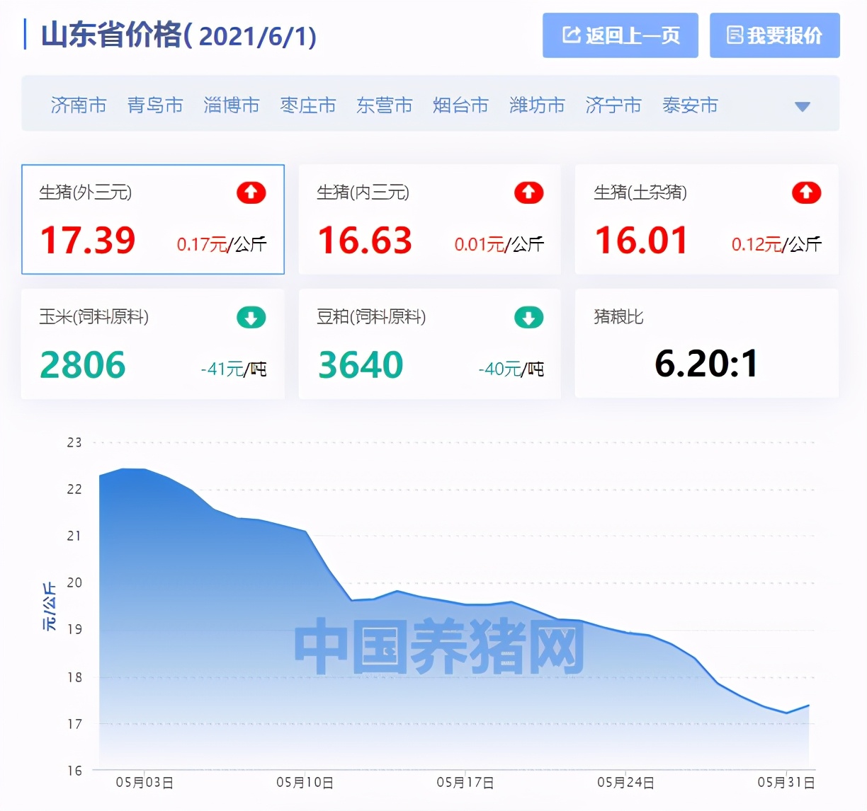 山东最新猪市行情深度解析