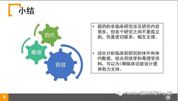 药理学最新药物探索与进展