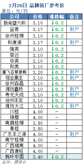 全国毛鸭最新报价分析