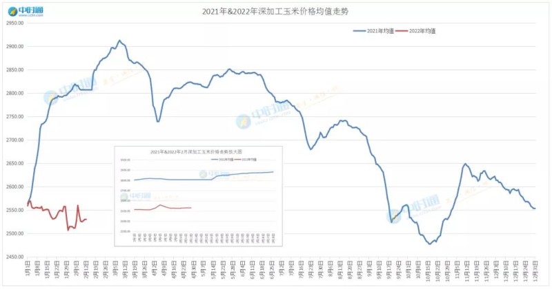 东北玉米市场动态，今日玉米最新价格分析