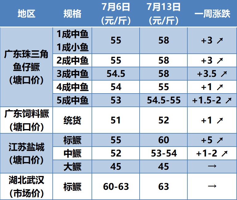 郜台最新鱼情报告