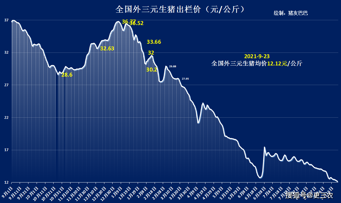 最新海南猪价，市场动态与影响因素分析