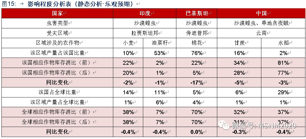 全球疫情最新疫情表解析与深度观察